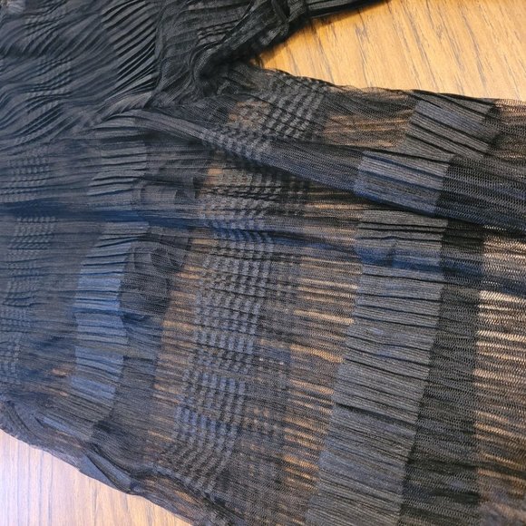 Sheer Wide Leg Pants - Picture 7 of 9